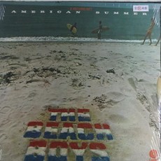 The Beach Boys 搖滾2LP / American Summer, 1個