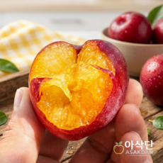 [재구매율94%]아삭단 김천 대석 자두 후무사 제철 자두 중과3kg, 1박스, 소과1kg