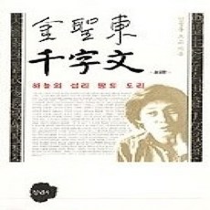 [개똥이네][중고-상] 김성동 천자문 - 하늘의 섭리 땅의 도리 (보급판)