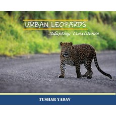 (英文圖書) Urban Leopards Adapting coexistence 精裝版, White Falcon Publishing, 英文
