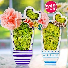 스칸디아모스 화분 만들기 5인용 카네이션 원예 키트 diy 어버이날 꾸미기 학생 노인, 모스 카네이션 입체 화분(P00000NZ)