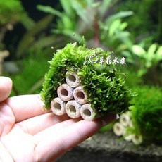 AC草影 陶瓷環默絲蝦屋 (6孔) 水草造景裝飾 魚蝦躲藏用, 1個