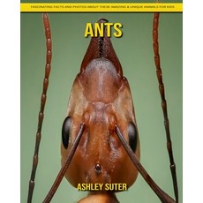 Ants: Fascinating Facts and Photos about These Amazing & Unique Animals for Kids Paperback, Independently Published
