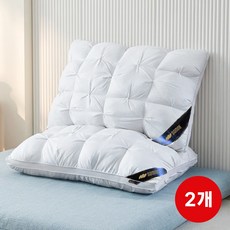 솜느 프리미엄 5성급 호텔 베개 1000g, 2개, 화이트