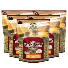 구딘 펫츠핸들러 햄스터 전용사료, 600g, 5개