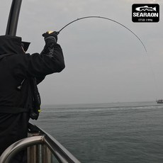 엘디피쉬 씨라온 에어 다운샷 광어다운샷 외수질 라이트지깅대, B-190MT