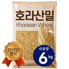 The큰나무 25년산 햇 호라산밀 고대곡물 카무트 쌀, 3kg, 2개