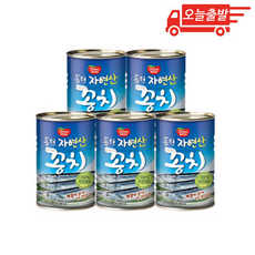 오늘출발 동원 자연산 꽁치, 300g, 5개