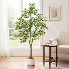 1.7米 義大利西西里檸檬樹 室內大型仿真植栽 附贈花盆, 義大利西西里檸檬樹1.7公尺室內大型仿真植栽（贈送花盆）, 1個
