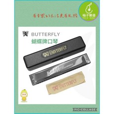 24孔複音口琴（台灣製造 黃銅簧片 經典入門） 柚子樂器, 1個, 蝴蝶牌-24複音C調