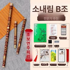 대금 산조 입문용 정악 휴대용 대나무 플루트 피리 전통 악기, 1개, 1단 D키 디럭스 액세서리 포함