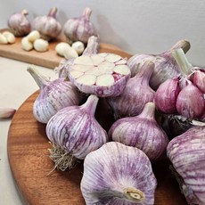 국산 의성 토종 육종마늘 1kg 반접 중사이즈, 세트, 1
