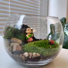 더모스 이끼 테라리움 만들기 키트, 용감한소녀, 1개