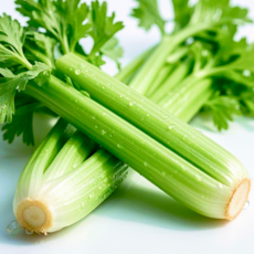 [산지직송] 아삭아삭 향긋한 다이어트용 샐러리, 1개, 1kg