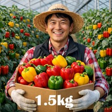 [타임특가 15%] 산지 직송 완전 신선한 고당도 파프리카, 1박스, 1.5kg 파프리카(색상랜덤)