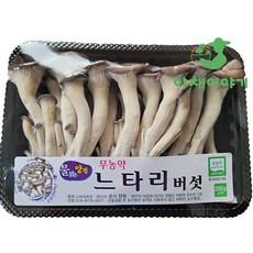 야채이야기 느타리버섯 10팩 2kg, 10개, 200g