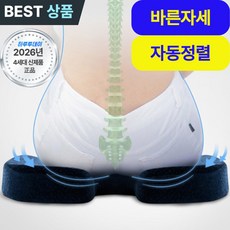 하루투데이 3D 자세교정 방석 메모리폼 꼬리뼈 치질 쿠션, 시크블랙