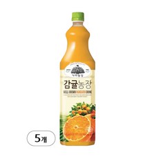웅진 가야농장 감귤주스 1.5L, 5개