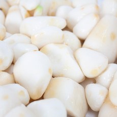 곡성 깐토란 햇 토란 냉장 진공포장 손질 국산, 1개, 3kg