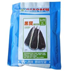 【野菜部屋~】N13 黑寶甜珍珠玉米種子半磅 富含花青素 軟Q鮮甜 容易種植 皮薄不塞牙 甜糯玉米種子, 1包
