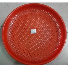 圓苔 密胎 孔苔 孔 紅色 驅蚊盆栽 ecgo五金百貨, 1個