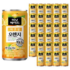 미닛메이드 에센셜 오렌지 175ml, 60개