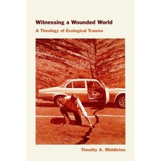 (英文圖書)Witnessing a Wounded World: A Theology of Ecological Trauma 精裝版, Fordham University Press, 英文
