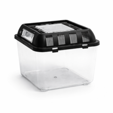 렙티주 브리딩박스 사육장 채집통, 소사이즈, 1개