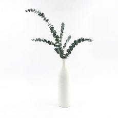 [데코몰] 프리저브드 플라워 - 유칼립투스 베이브 블루, 그린