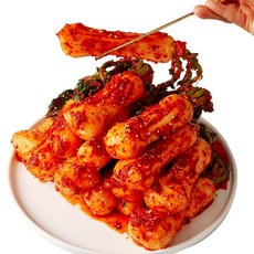 100%국산 30년 전통 전라도 총각김치, 1kg, 1개