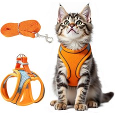 지피파 고양이 하네스 및 목줄 세트 - 안전한 보행을 위한 조절 가능한 부드러운 조끼 반사형 스텝인 디자인(XXS 주황색/파란색), Orange/Blue