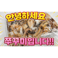 핵꿀맛! 냉동 절단 쭈꾸미 900g 1.8kg 3.6kg, 1개, 냉동 절단 손질 쭈꾸미 900g