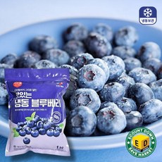cj프레시웨이 이츠웰 냉동 블루베리 100% 과일 대용량 카페 업소용 스무디재료, 3개, 1kg
