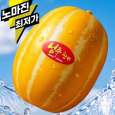[하루한정 초특가] 성주 꿀 참외 당도선별 가정용, 1개, 10kg