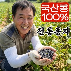 더맛곳간 국산 서리태 검정콩 토종 검은콩 서리태콩, 1개, 500g