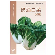 興農種苗 奶油白菜(矮種) 種子，葉片翠綠梗部雪白，口感細嫩清甜，適合家庭園藝種植, 1個