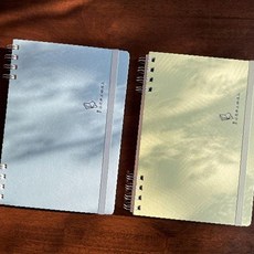 스프링 제본 필사 노트 반투명 커버 루즈리프 구멍 뚫린 줄노트 가정용 학습 필기, 1개, 랜덤