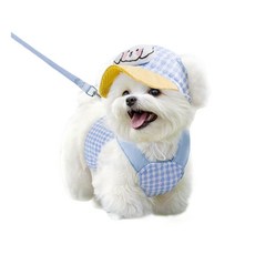 Tinduo 강아지 외출 3종 세트 모자 멜빵 목줄 달린 중소형 강아지 고양이 산책줄, 푸른 색