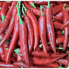 (국내산) 홍고추 갈아쓰는용 500g 1kg, 1개