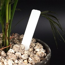 화분명찰 나무표찰, T형