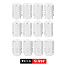DSYCAR 12Pcs 범용 자동차 모토 자전거 타이어 휠 밸브 캡 커버 스타일링 피아트 포드 Bmw Toyota VW Lada Opel Kia, Silver