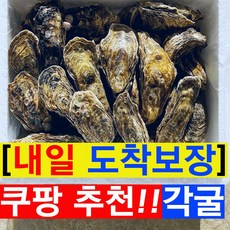 산지직송 통영 생굴 석화 각굴 삼배체굴, 1박스, 10kg
