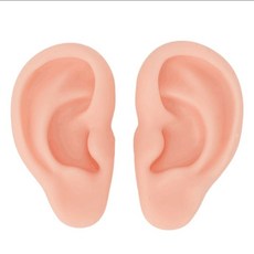양쪽 실리콘 묶음 고무소재 귀걸이전시 귀모형 교육용 39456EA 1(PC), 양쪽세트