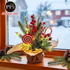 摩達客 25cm聖誕裝飾花盆, 棒棒糖紅果款+20LED暖白光燈串
