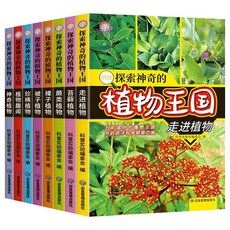 중국어 원서 우주 백과사전 초등학생 과학 탐구 태양계 행성 천문학 지식 전집 8권, 8권 마법 식물 왕국