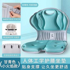 ZTM 護腰座墊 送贈品, 小火焰 紺青色 可拆洗-乾淨衛生