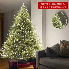 순수 PE 크리스마스 트리 장식 홈 오너먼트 거실 2024 고급 시뮬레이션 레이아웃, 1.5m, 06  Pure PE  2.1 meters