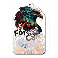 藍風鈴森林卡片香氛片，老鷹設計，持久清新，室內香氛好選擇, 圖騰炫彩老鷹(1入), 藍風鈴