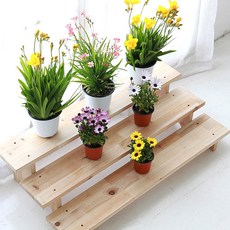 데코밸런스 화분받침대 원목 완제품 화분 진열대 정리대 선반 다이 24개 사이즈 (개별상품), 1단, 원목800X200X250