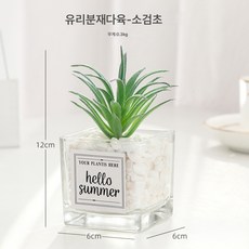 유럽식 소형 유리 화분 다육식물 화분 장식 화분 장식 테이블 인테리어 조화 장식, 작은 검 잔디, 1개